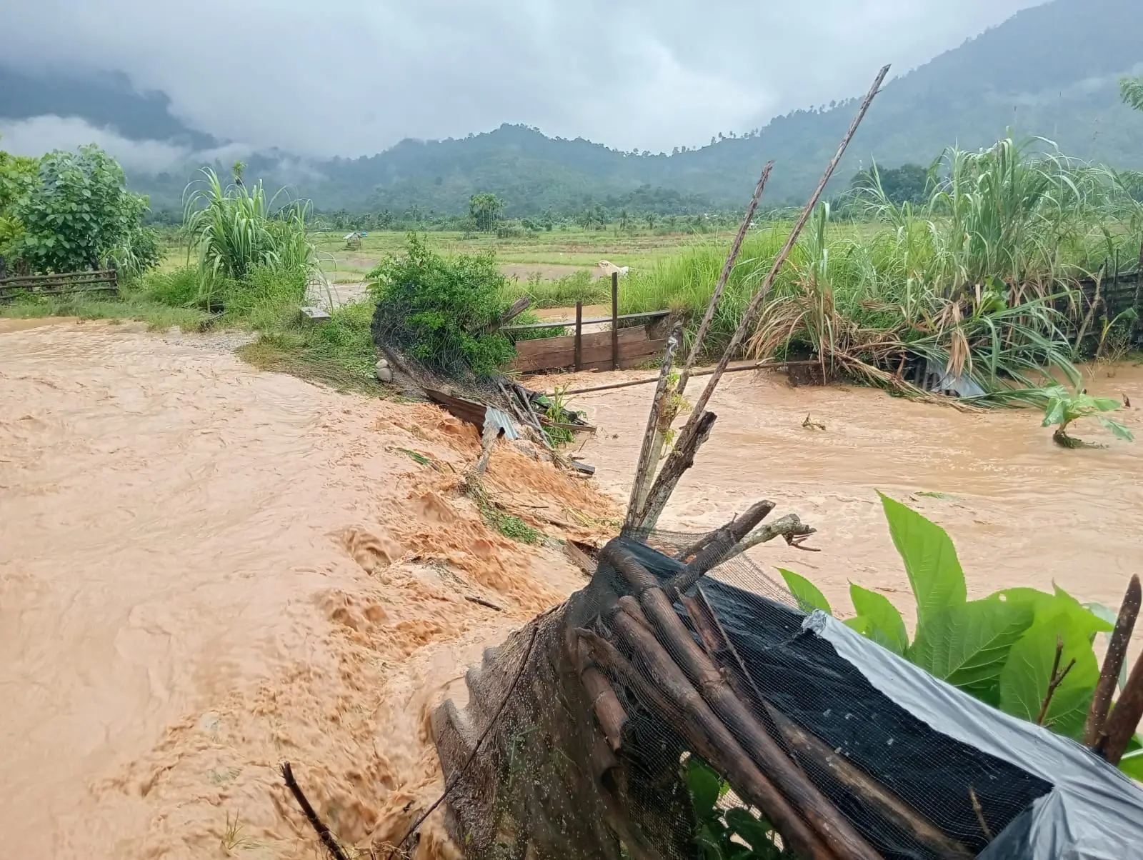 Banjir dan Tanah Longsor Melanda Aceh Selatan, Sebanyak 8.142 Jiwa Terdampak